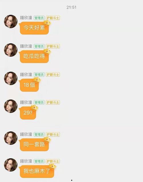 娱乐吃瓜酱做题,从421文件到网红八卦，深度解析娱乐热点背后的故事