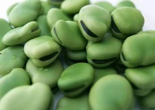 娱乐豆吃瓜,揭秘娱乐圈那些不为人知的幕后故事 第3张 娱乐豆吃瓜,揭秘娱乐圈那些不为人知的幕后故事 第3张