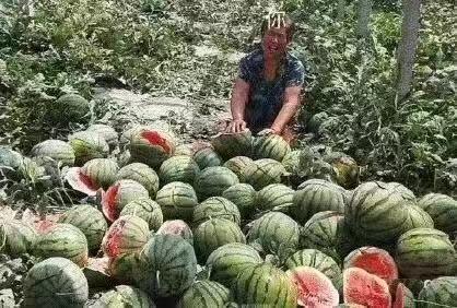 可云娱乐吃瓜,揭秘娱乐圈的“吃瓜”盛宴 第3张 可云娱乐吃瓜,揭秘娱乐圈的“吃瓜”盛宴 第3张