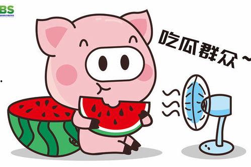 娱乐吃瓜酱好运,揭秘明星幕后故事，带你领略娱乐圈的神秘魅力