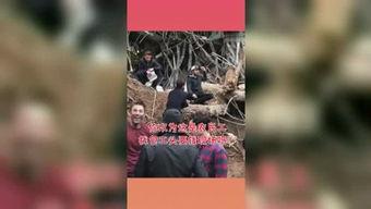 吃瓜星球娱乐,揭秘娱乐圈幕后故事，带你领略明星们的真实生活