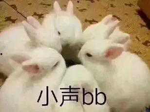 兔兔吃瓜娱乐,娱乐无限,揭秘娱乐圈幕后趣事 第2张 兔兔吃瓜娱乐,娱乐无限,揭秘娱乐圈幕后趣事 第2张