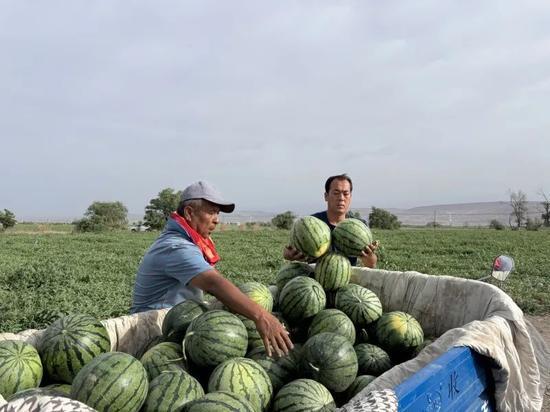 每天娱乐吃瓜,娱乐圈新鲜事速递 第2张 每天娱乐吃瓜,娱乐圈新鲜事速递 第2张