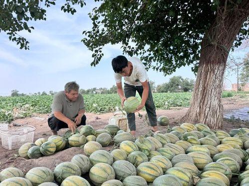 每天娱乐吃瓜,娱乐圈新鲜事速递 第3张 每天娱乐吃瓜,娱乐圈新鲜事速递 第3张