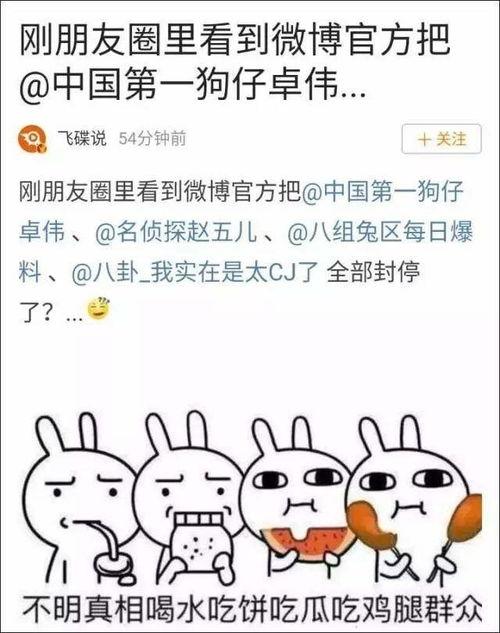 娱乐吃瓜总结,揭秘明星幕后故事  第1张