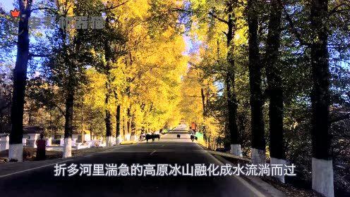 娱乐吃瓜君2,揭秘娱乐圈背后的秘密与八卦 第1张 娱乐吃瓜君2,揭秘娱乐圈背后的秘密与八卦 第1张