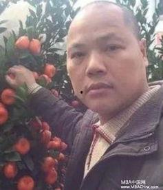 娱乐吃瓜橘子哥,娱乐吃瓜界的风云人物 第1张 娱乐吃瓜橘子哥,娱乐吃瓜界的风云人物 第1张