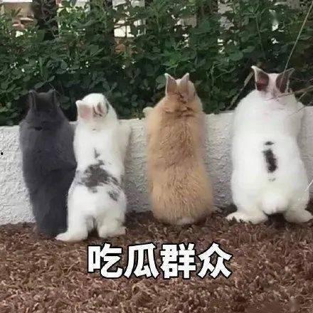 吃瓜娱乐汪,揭秘娱乐圈那些事儿 第1张 吃瓜娱乐汪,揭秘娱乐圈那些事儿 第1张