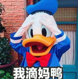 娱乐吃瓜君鸭 第2张 娱乐吃瓜君鸭 第2张
