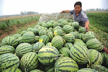 娱乐吃瓜居民  第3张 娱乐吃瓜居民  第3张
