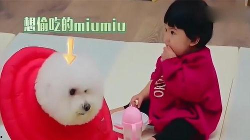 娱乐吃瓜妞  第3张 娱乐吃瓜妞  第3张