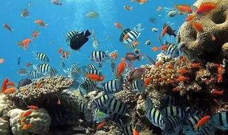 一线吃瓜娱乐圈by海底监,海底监揭秘一线明星幕后故事  第2张