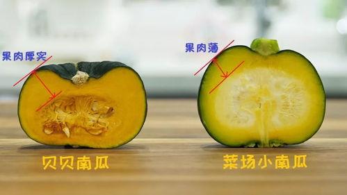 娱乐吃瓜小南瓜,南瓜带你领略娱乐圈的甜蜜与苦涩  第3张 娱乐吃瓜小南瓜,南瓜带你领略娱乐圈的甜蜜与苦涩  第3张