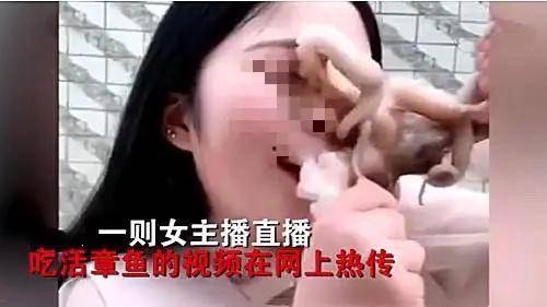 娱乐吃瓜酱的作品真诚才是必杀计  第3张