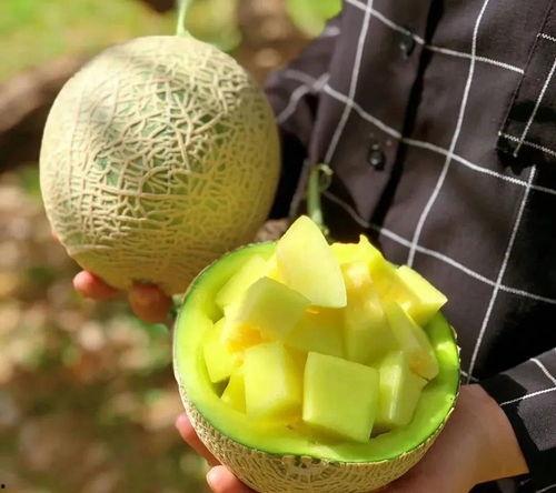 娱乐吃瓜酱吃瓜,吃瓜酱带你领略明星幕后故事  第3张