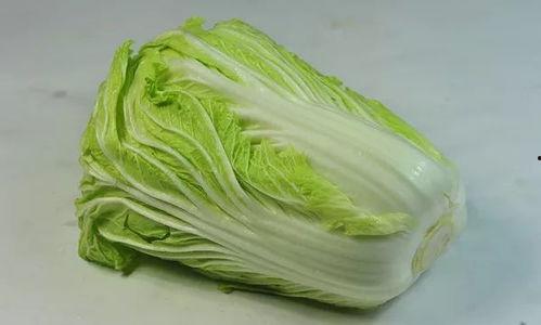 娱乐吃瓜姐白菜,白菜带你领略娱乐圈的瓜田乐趣  第3张