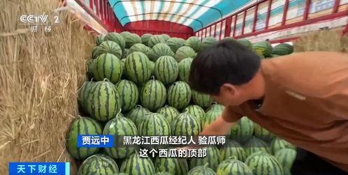 718娱乐吃瓜入口,一场吃瓜盛宴背后的真相与内幕 第3张 718娱乐吃瓜入口,一场吃瓜盛宴背后的真相与内幕 第3张