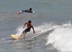 娱乐吃瓜冲浪社,揭秘娱乐圈幕后故事，带你畅游八卦海洋  第2张