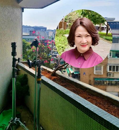 娱乐吃瓜酱台湾,揭秘台湾娱乐圈那些事儿  第2张