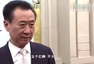 娱乐吃瓜酱王健林,从商业巨头到娱乐吃瓜酱王，揭秘他的跨界传奇  第3张