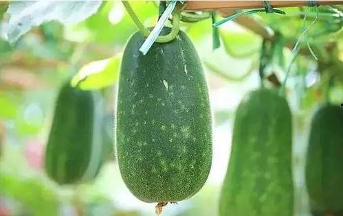 娱乐吃瓜文章推荐,明星们的幕后故事与惊人真相  第2张