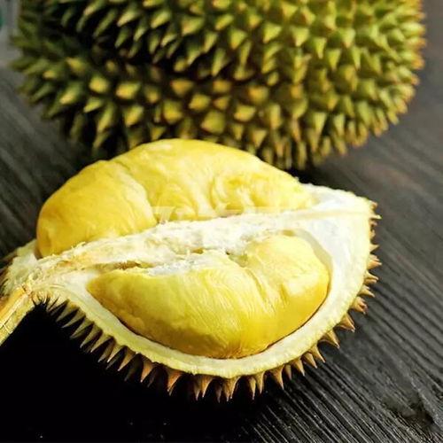 吃瓜娱乐间榴莲,热带果王背后的传奇与争议