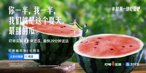 娱乐吃瓜酱文案,吃瓜酱视角下的娱乐热点与幕后故事