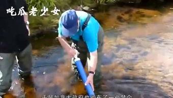 娱乐吃瓜老少女,老少生花,吃瓜群众笑谈风云变幻 第2张 娱乐吃瓜老少女,老少生花,吃瓜群众笑谈风云变幻 第2张