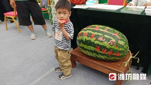娱乐吃瓜带货,揭秘网红经济背后的娱乐产业链 第3张 娱乐吃瓜带货,揭秘网红经济背后的娱乐产业链 第3张