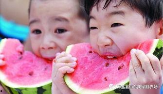 娱乐吃瓜酱新疆,探索哈密瓜酱的独特魅力 第2张 娱乐吃瓜酱新疆,探索哈密瓜酱的独特魅力 第2张