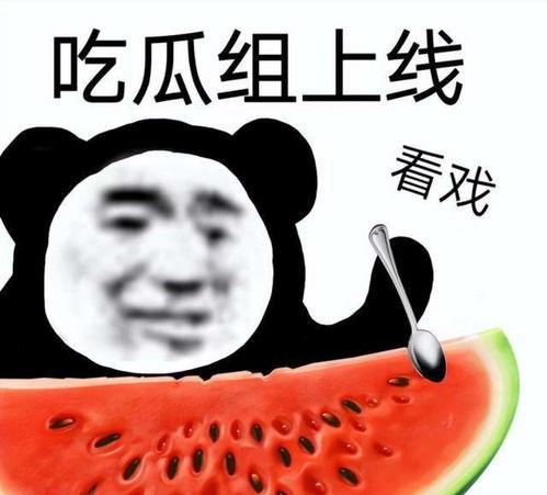 娱乐吃瓜酱读书,揭秘娱乐圈背后的故事与真相 第3张 娱乐吃瓜酱读书,揭秘娱乐圈背后的故事与真相 第3张