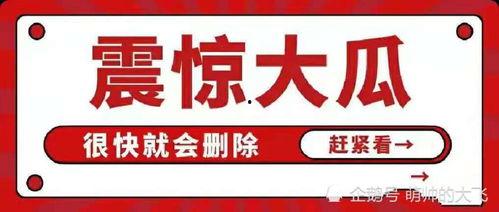 吃瓜娱乐号大全,带你畅游娱乐圈 第3张 吃瓜娱乐号大全,带你畅游娱乐圈 第3张