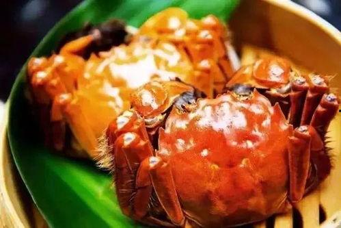 娱乐吃瓜君大闸蟹,大闸蟹背后的故事与魅力 第2张 娱乐吃瓜君大闸蟹,大闸蟹背后的故事与魅力 第2张