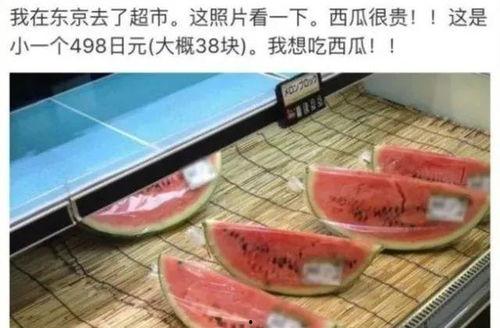 日本娱乐吃瓜,揭秘明星幕后故事与八卦传闻  第2张