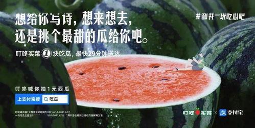 娱乐吃瓜的文案,吃瓜群众必备的幕后花絮大汇总  第1张