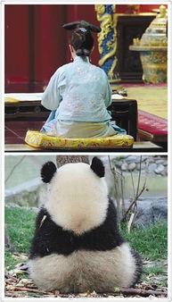 娱乐吃瓜群众2,揭秘娱乐圈背后的秘密与八卦 第3张 娱乐吃瓜群众2,揭秘娱乐圈背后的秘密与八卦 第3张