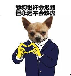 娱乐吃瓜君小狗,揭秘娱乐圈那些不为人知的幕后故事  第3张