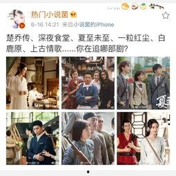 娱乐吃瓜深夜食堂,揭秘娱乐圈那些不为人知的“吃瓜”故事  第2张