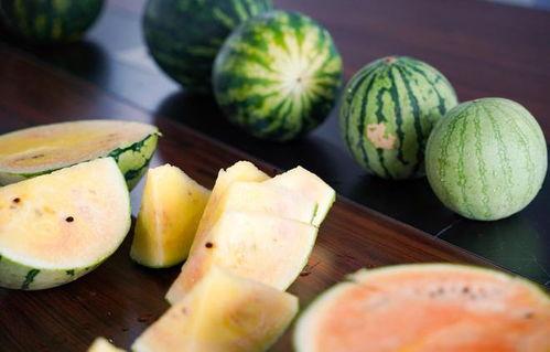 浙江娱乐吃瓜君,揭秘娱乐圈那些不为人知的幕后故事  第3张